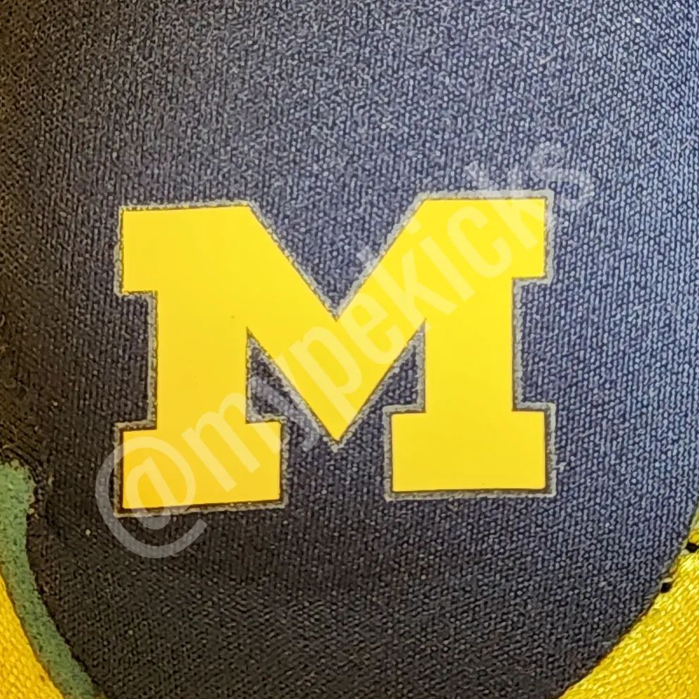 Jordan Luka 1 - Michigan Wolverines PE