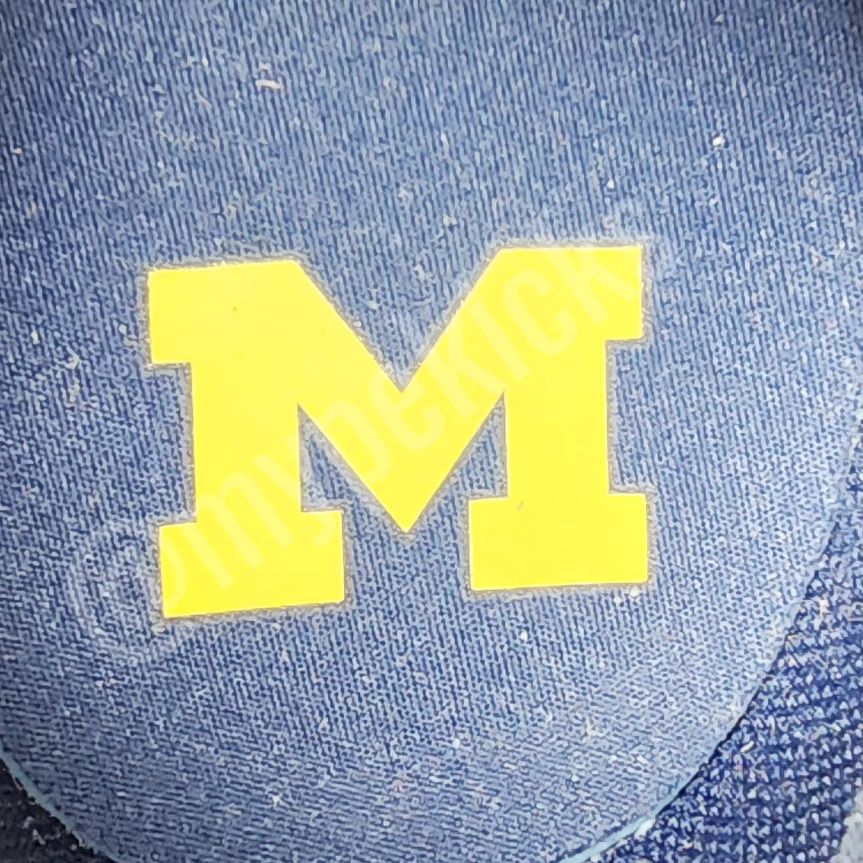 Jordan Westbrook One Take 4 - Michigan Wolverines PE