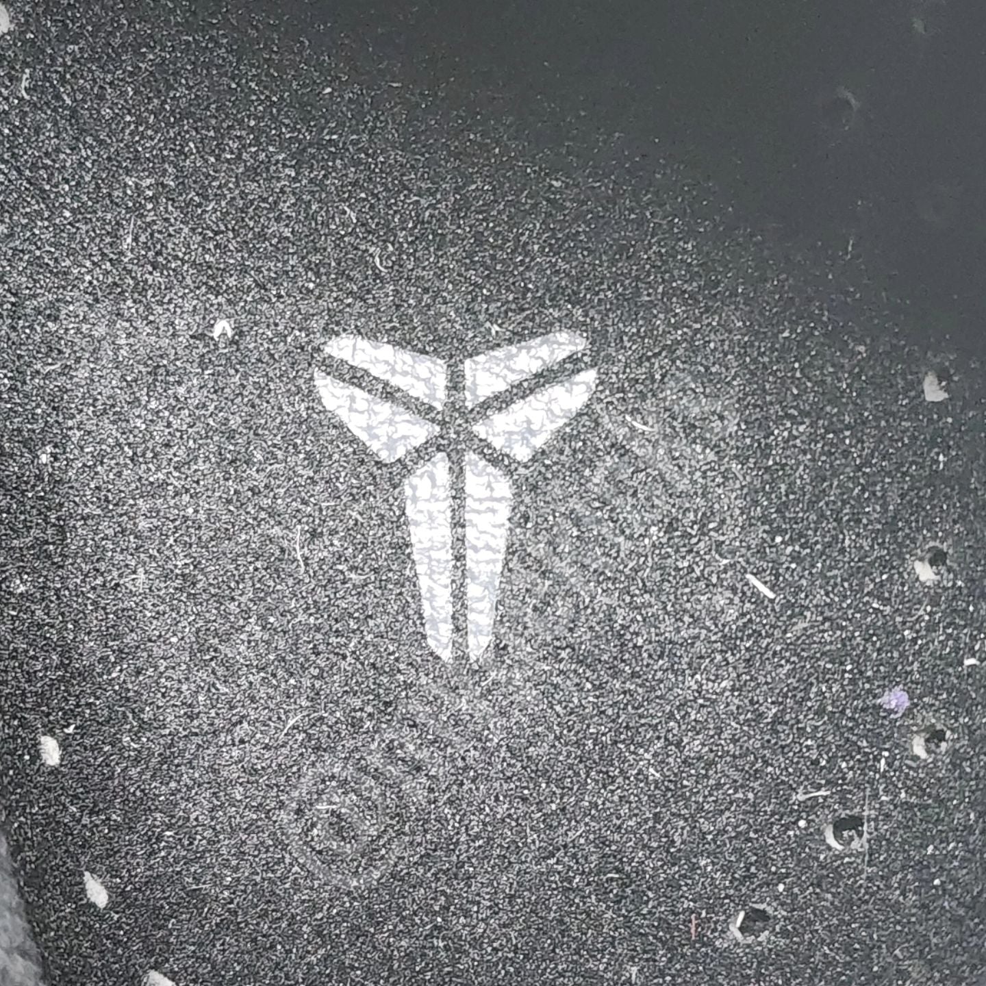 Nike Kobe 1 - Black Mamba PE Unreleased PROMO