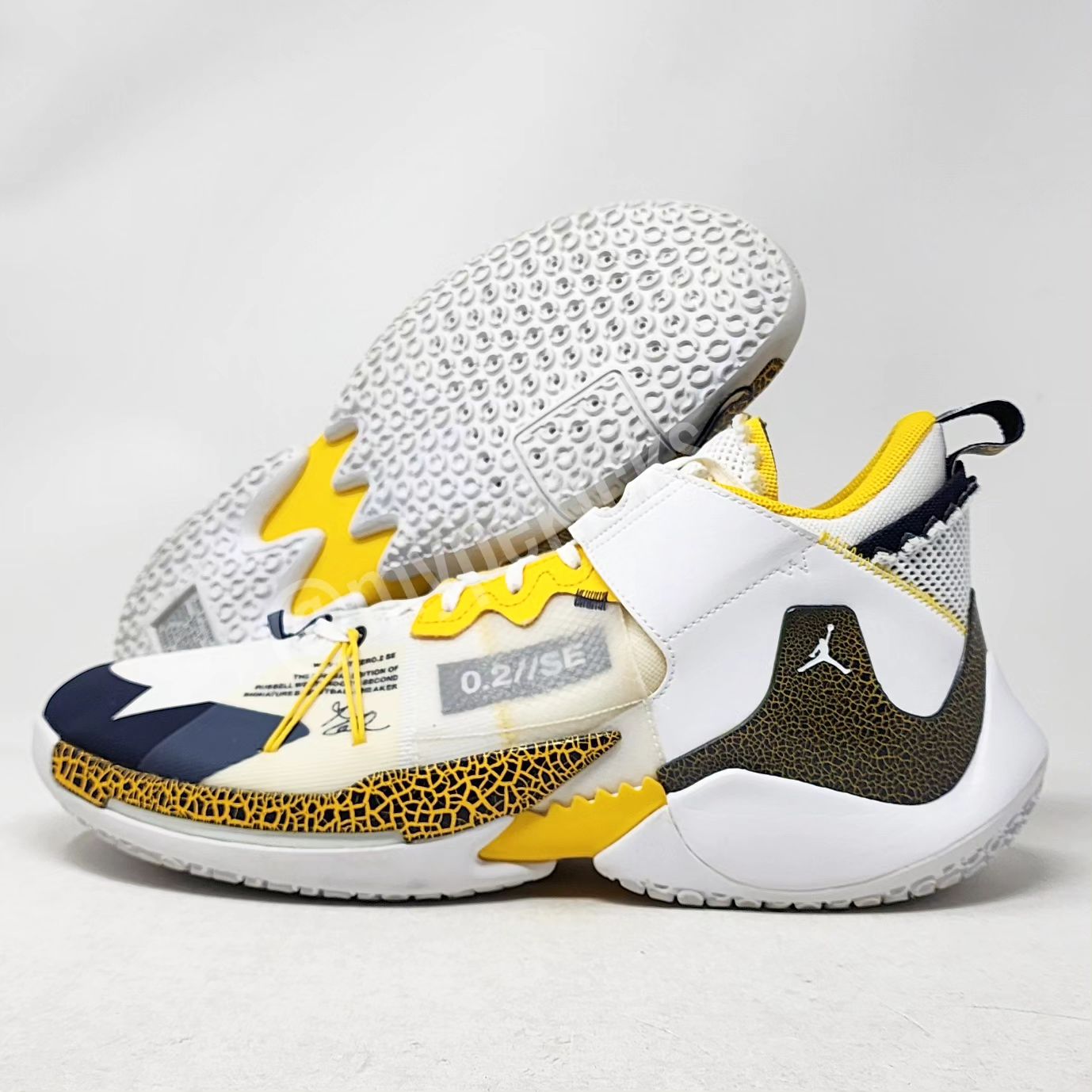 Jordan Westbrook Why Not Zer0.2 SE - Michigan Wolverines PE