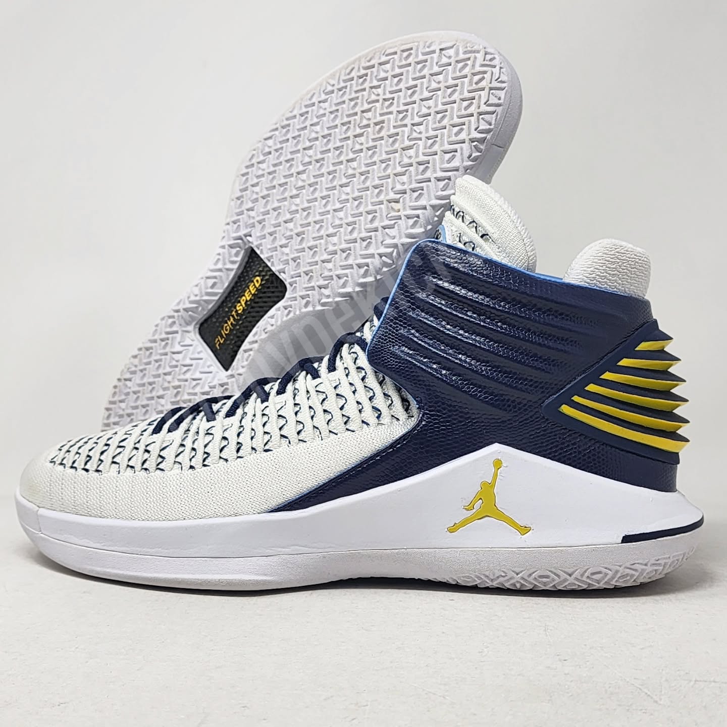 AJ 16 Retro - 康利灰熊队 PE
