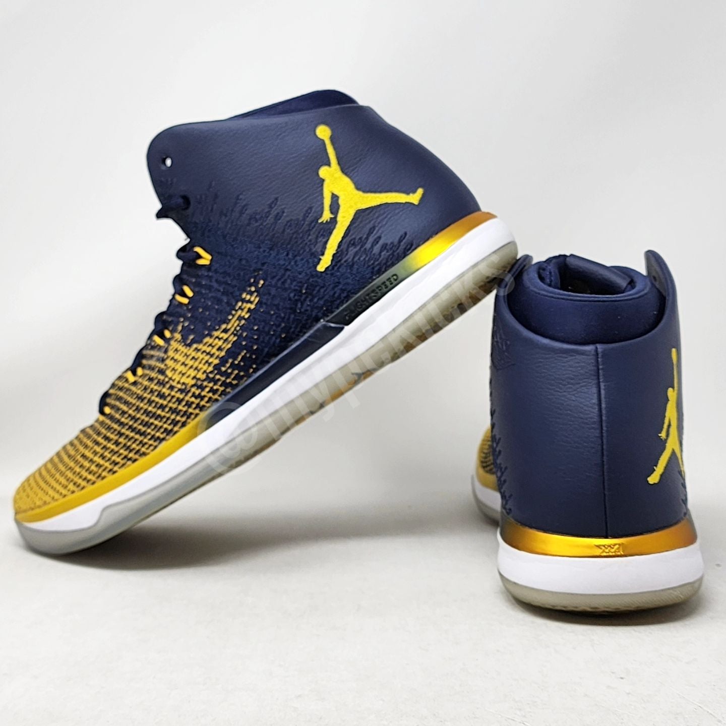 Air Jordan 31 - Michigan Wolverines PE