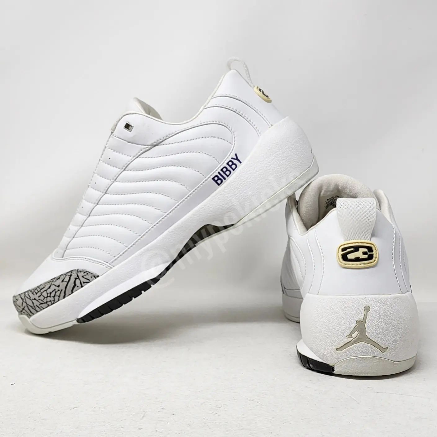 Air Jordan 19 Low - Mike Bibby Sacramento Kings PE