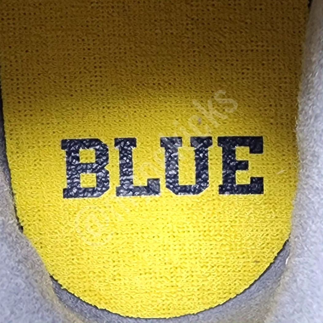 Air Jordan 03 Retro - Michigan Wolverines PE
