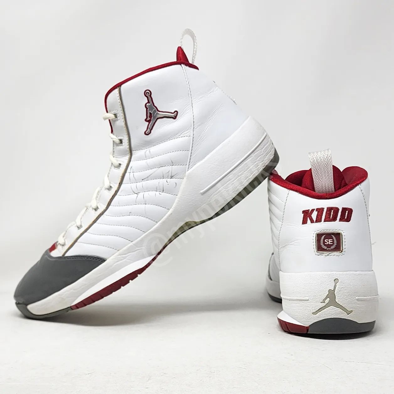 Air Jordan 19 SE - Jason Kidd New Jersey Nets PE