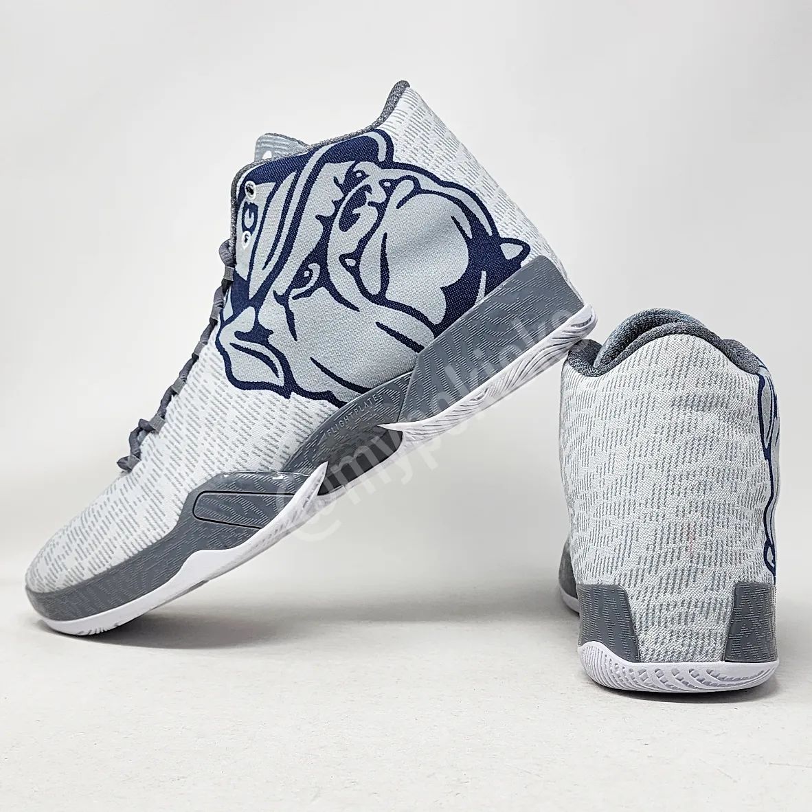Air Jordan 29 - Georgetown Hoyas PE