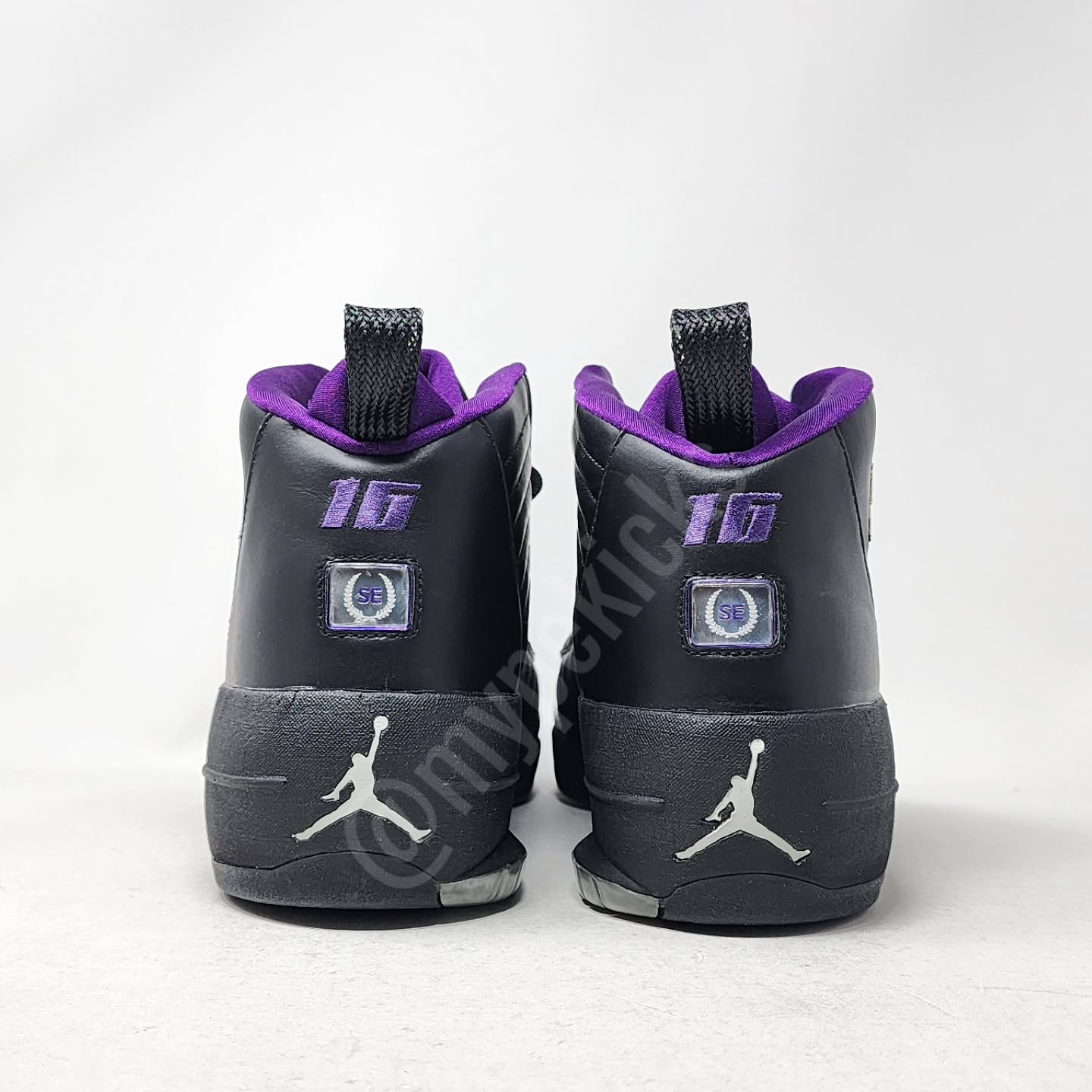 Air Jordan 19 SE - Toni Kukoc/Peja Stojakovic Bucks/Kings PE