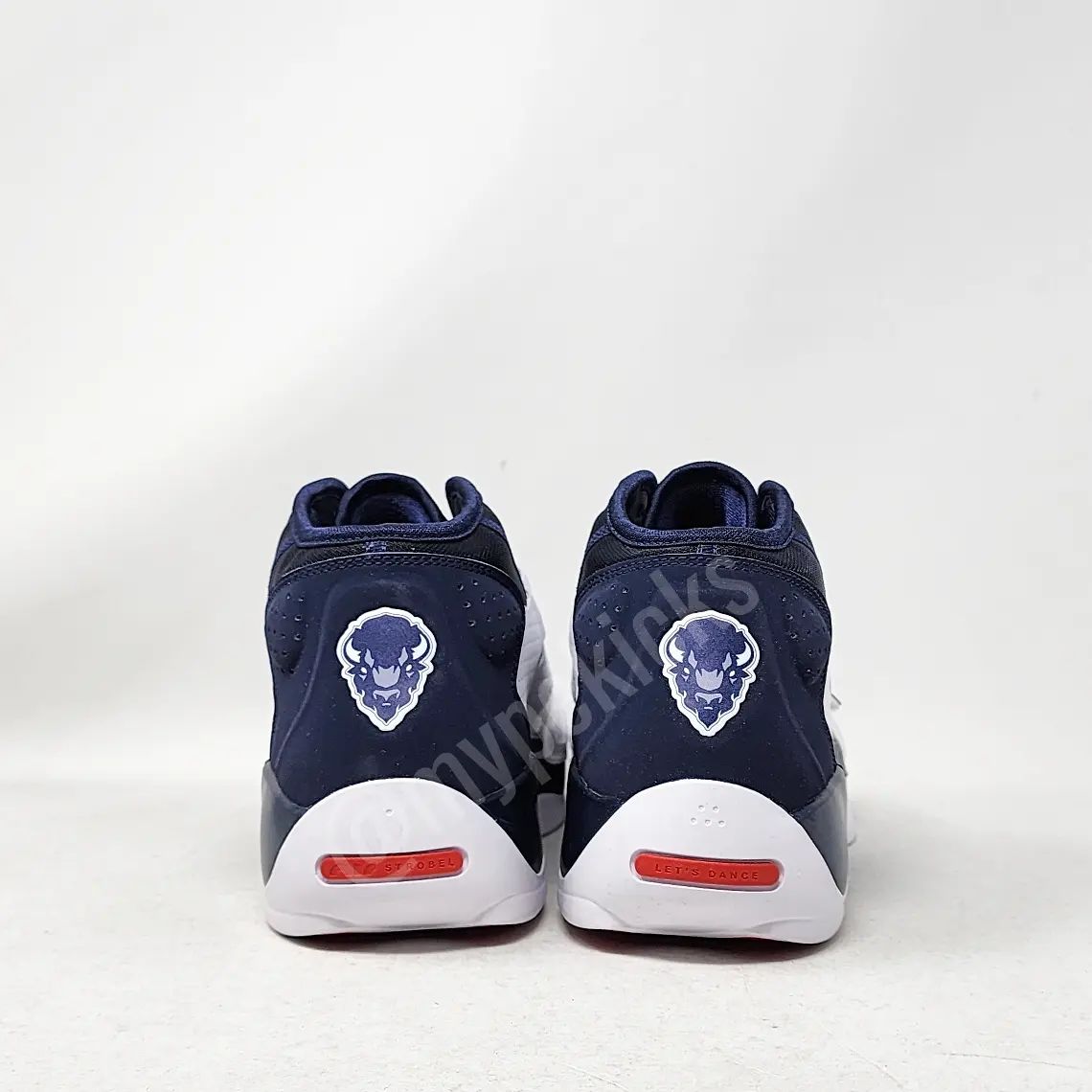 Jordan Zion 2 - Howard Bisons PE