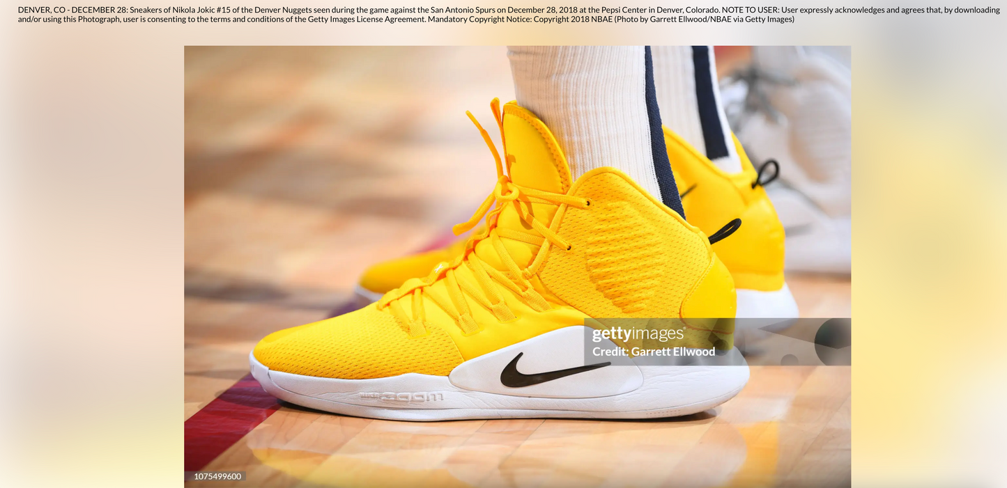 Nike Hyperdunk X TB - Nikola Jokic Denver Nuggets PE