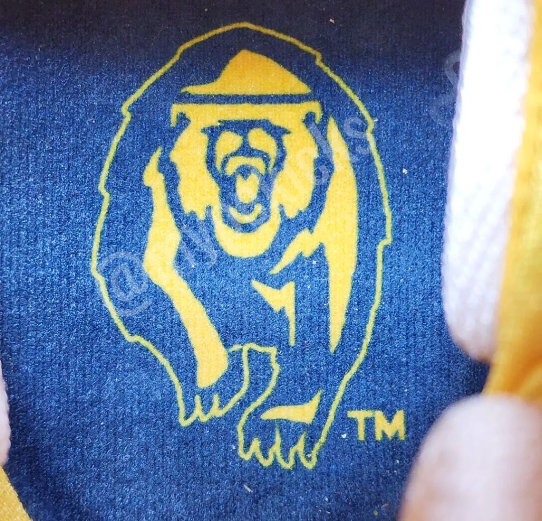 Air Jordan 31 - Cal Bears PE