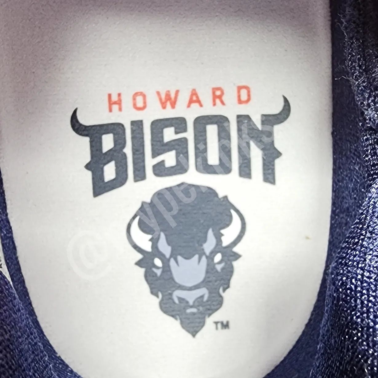 Air Jordan 37 - Howard Bisons PE