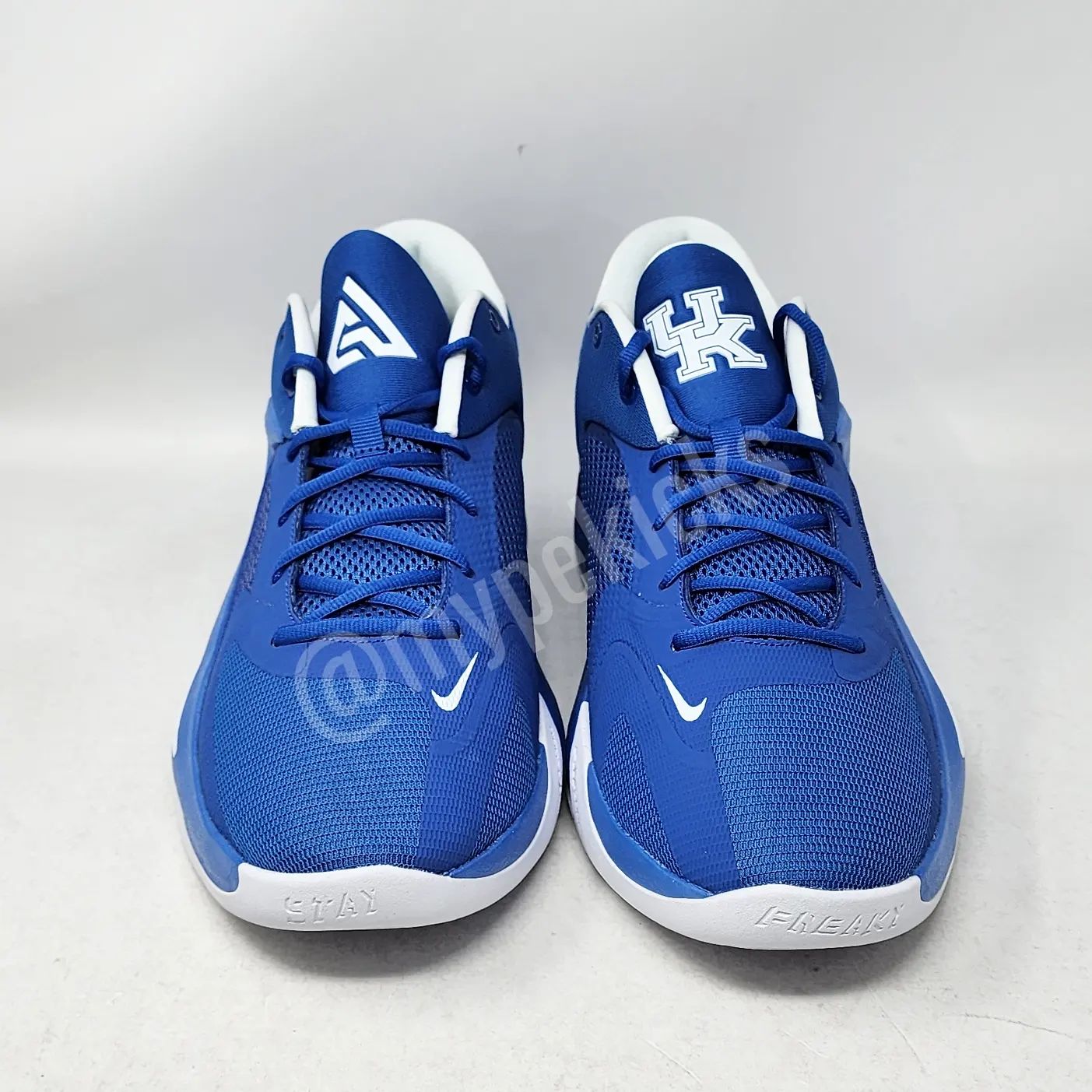 Nike Zoom Freak 4 - Kentucky Wildcats PE