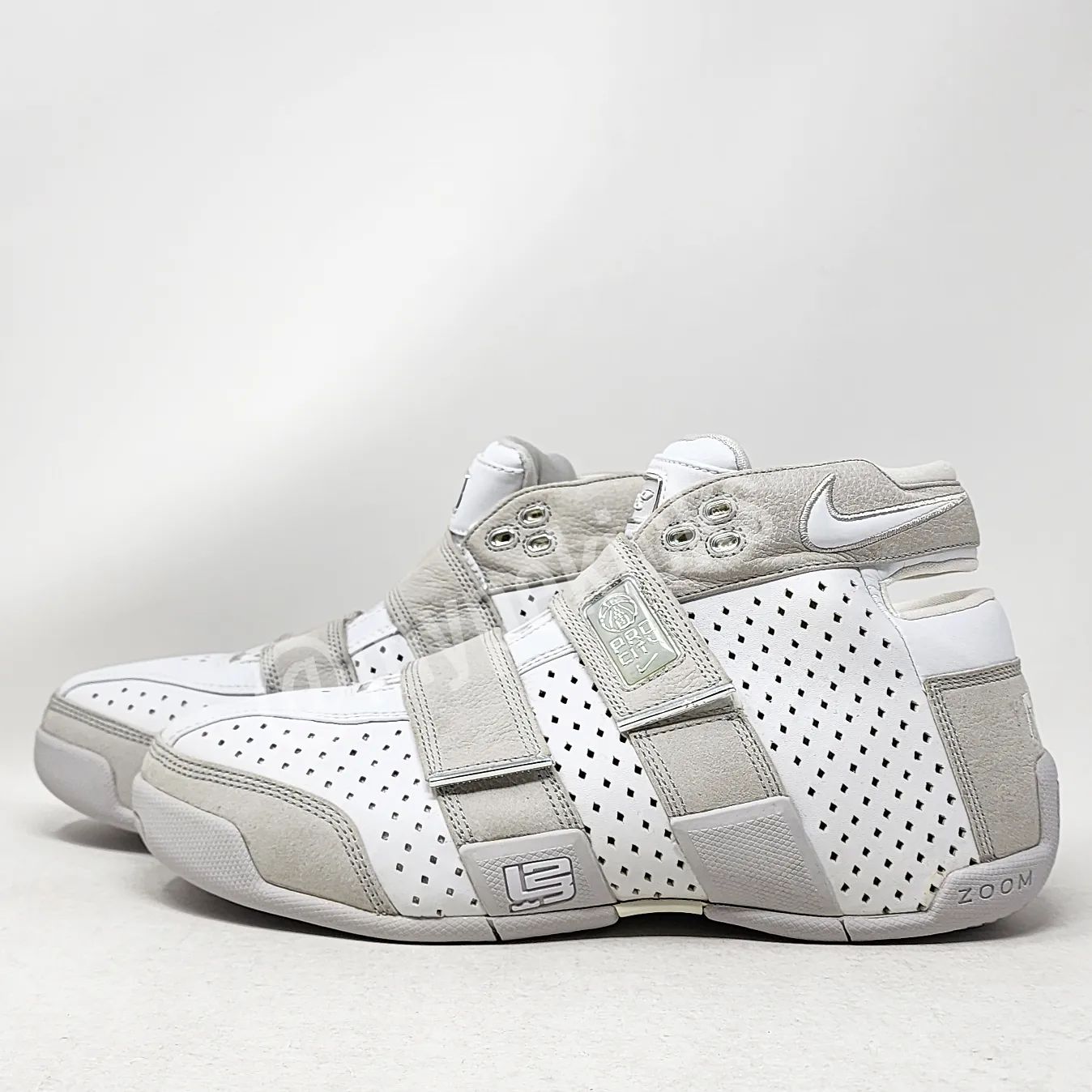 Nike LeBron Zoom 20-5-5 - Pro City - NYC PE