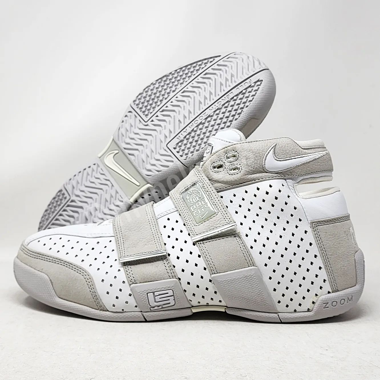 Nike LeBron Zoom 20-5-5 - Pro City - NYC PE
