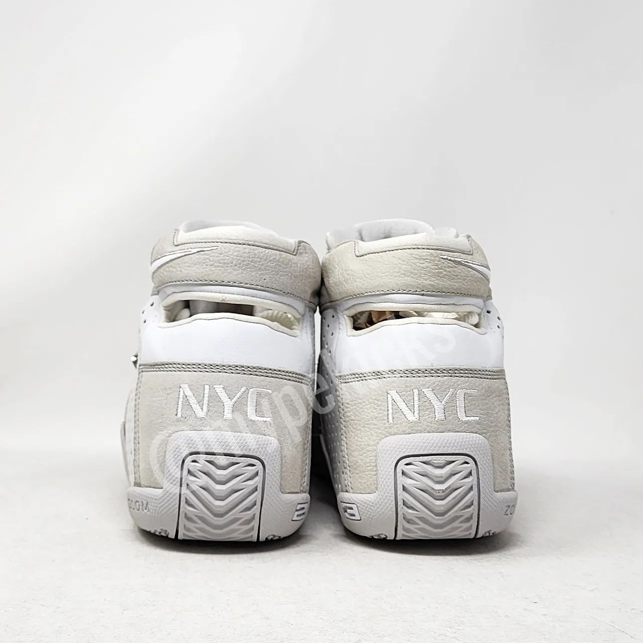 Nike LeBron Zoom 20-5-5 - Pro City - NYC PE