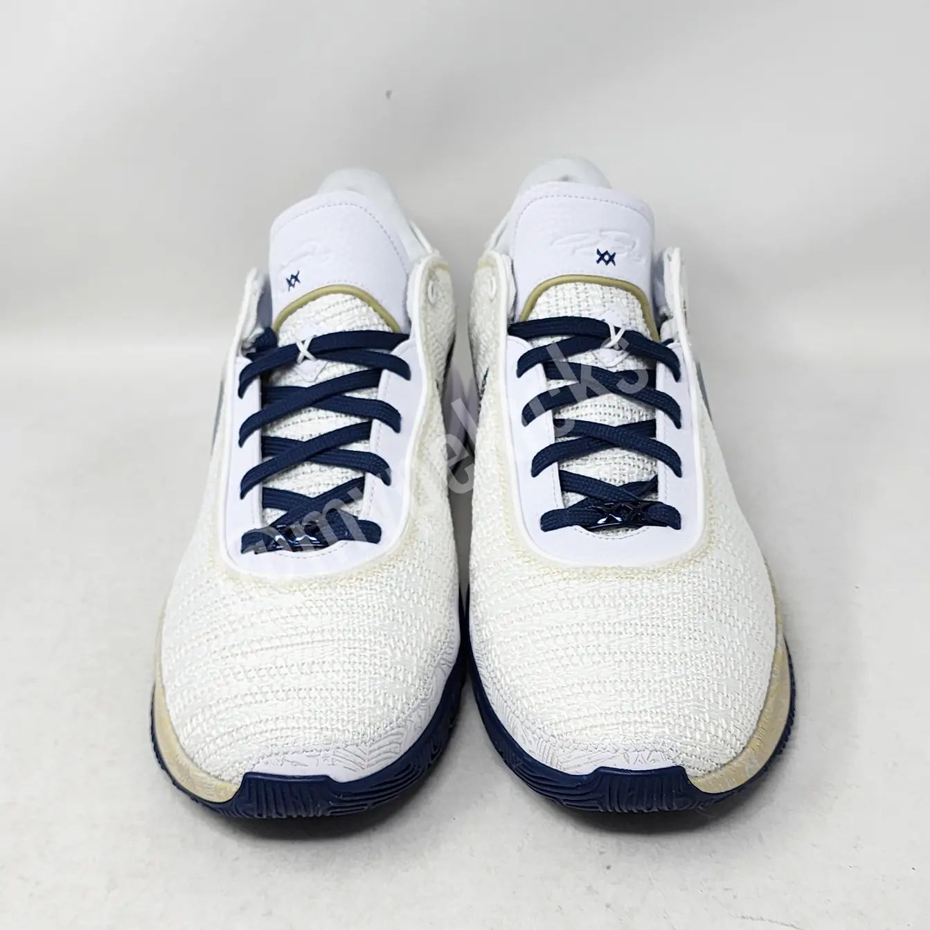 Nike LeBron 20 - Akron Zips PE