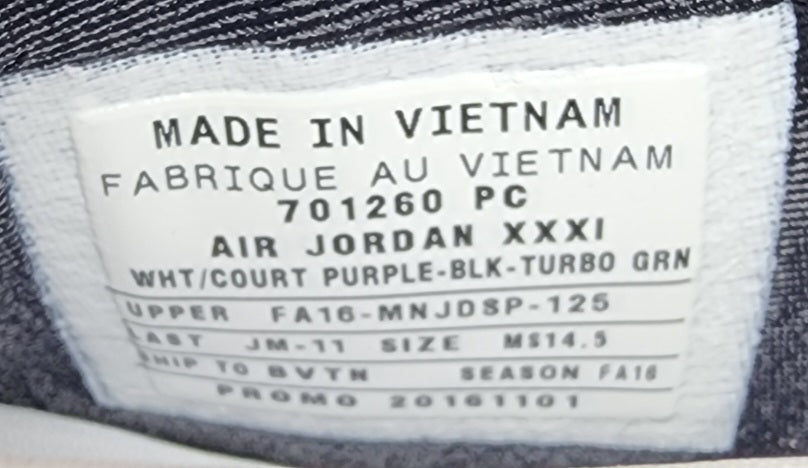 Air Jordan 31 - Michael Kidd-Gilchrist Charlotte Hornets PE
