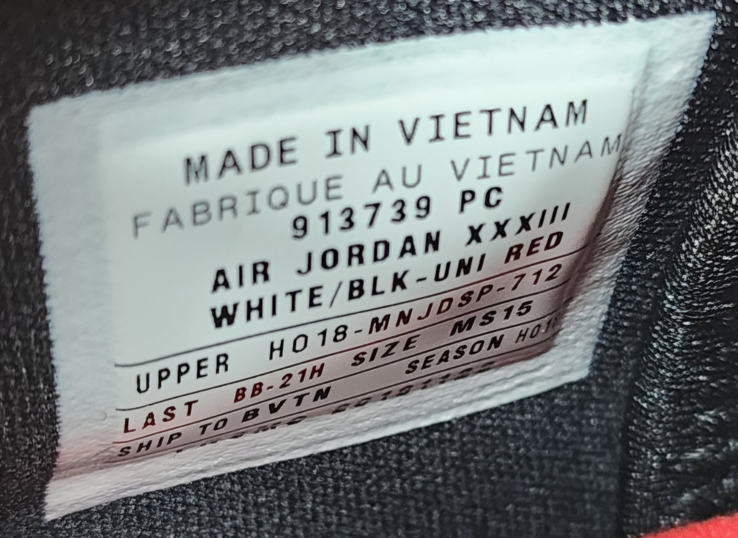 Air Jordan 33 - Greg Monroe Toronto Raptors PE