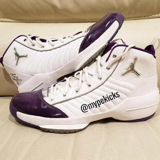 Air Jordan 19 SE - Jalen Rose Toronto Raptors PE