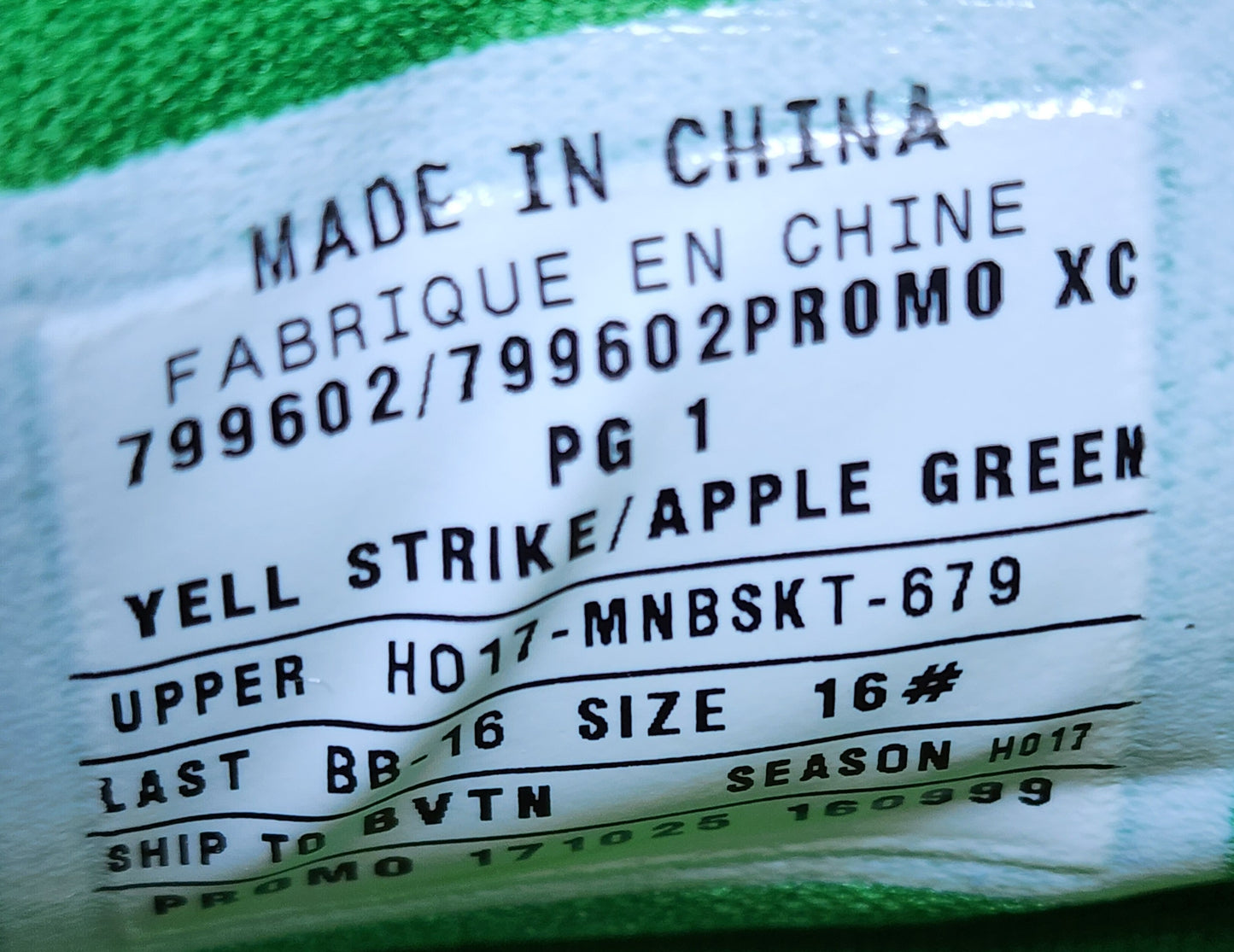 Nike PG 1 - Oregon Ducks PE