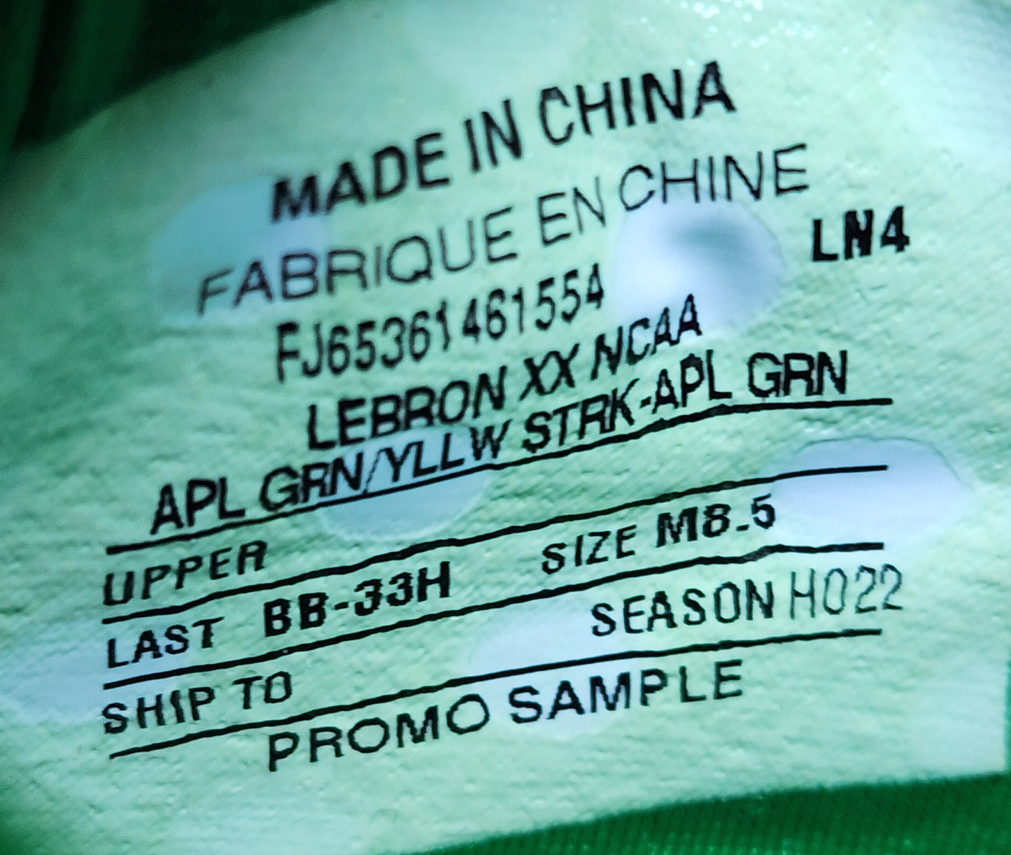 Nike LeBron 20 - Oregon Ducks PE