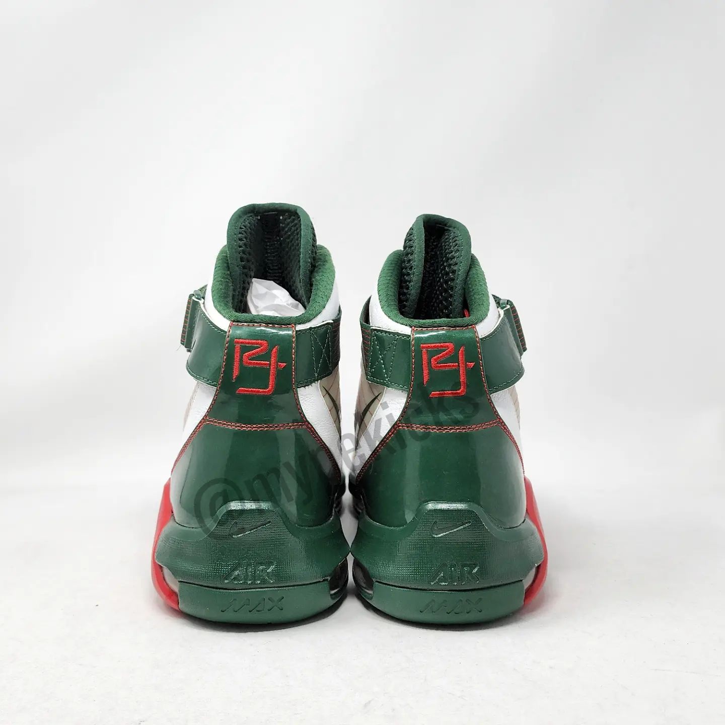 Nike Hypermax 2009 - Richard Jefferson Milwaukee Bucks PE