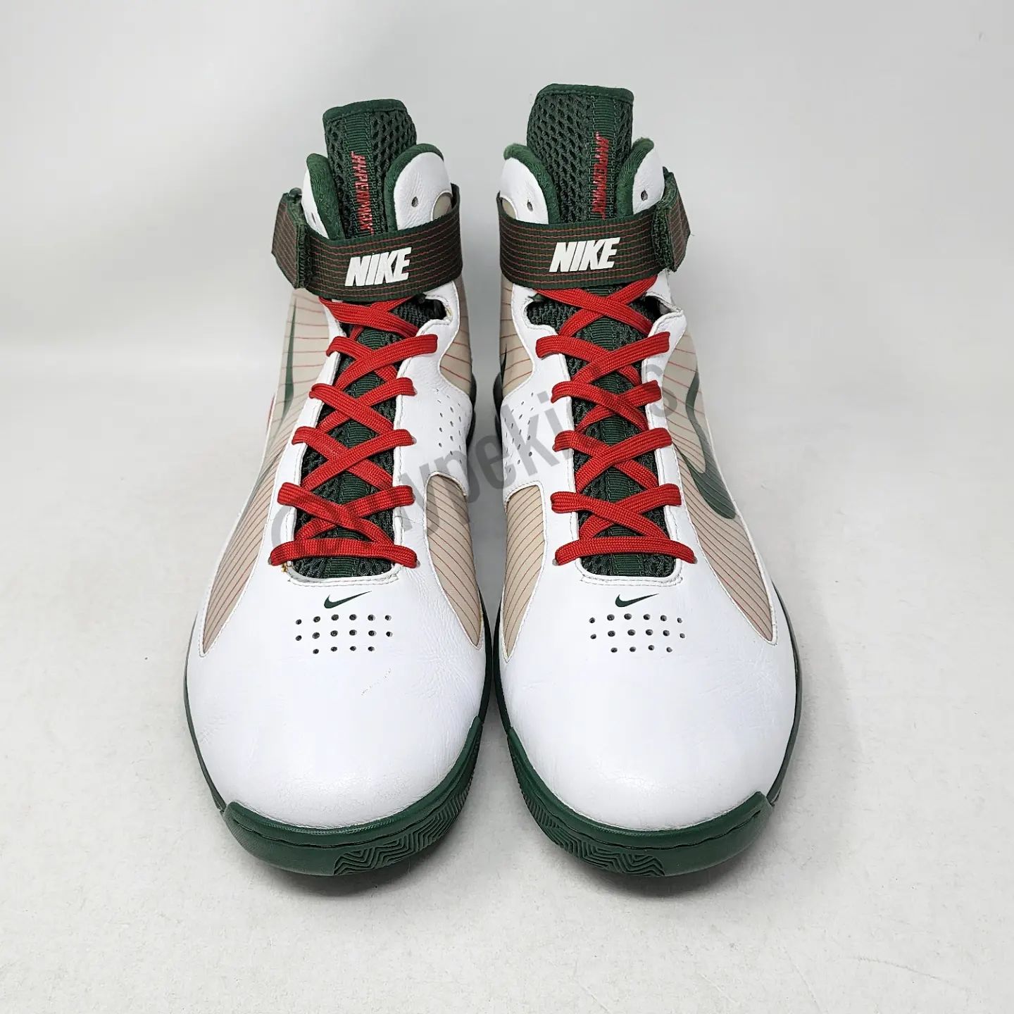 Nike Hypermax 2009 - Richard Jefferson Milwaukee Bucks PE