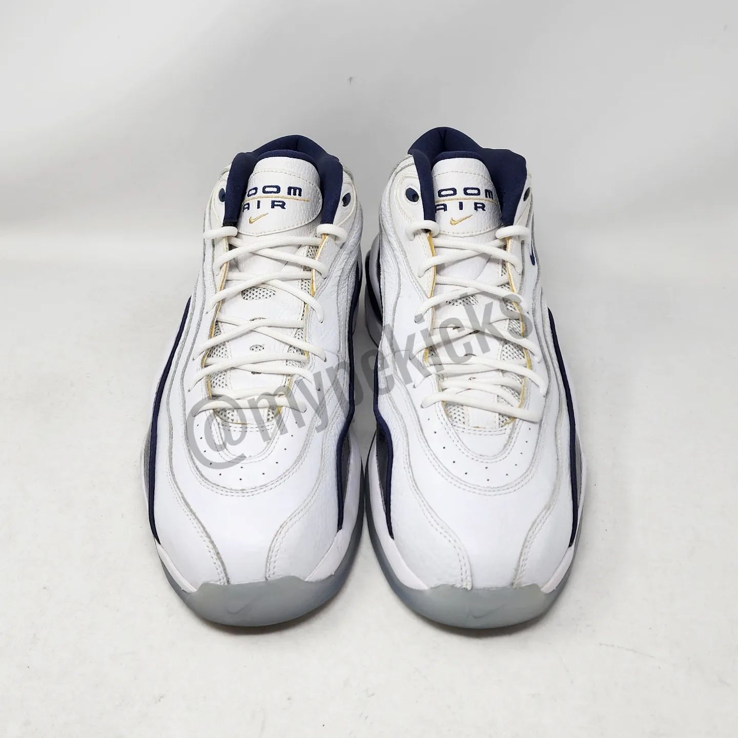 Nike Air Zoom Flight 96 Olympic
