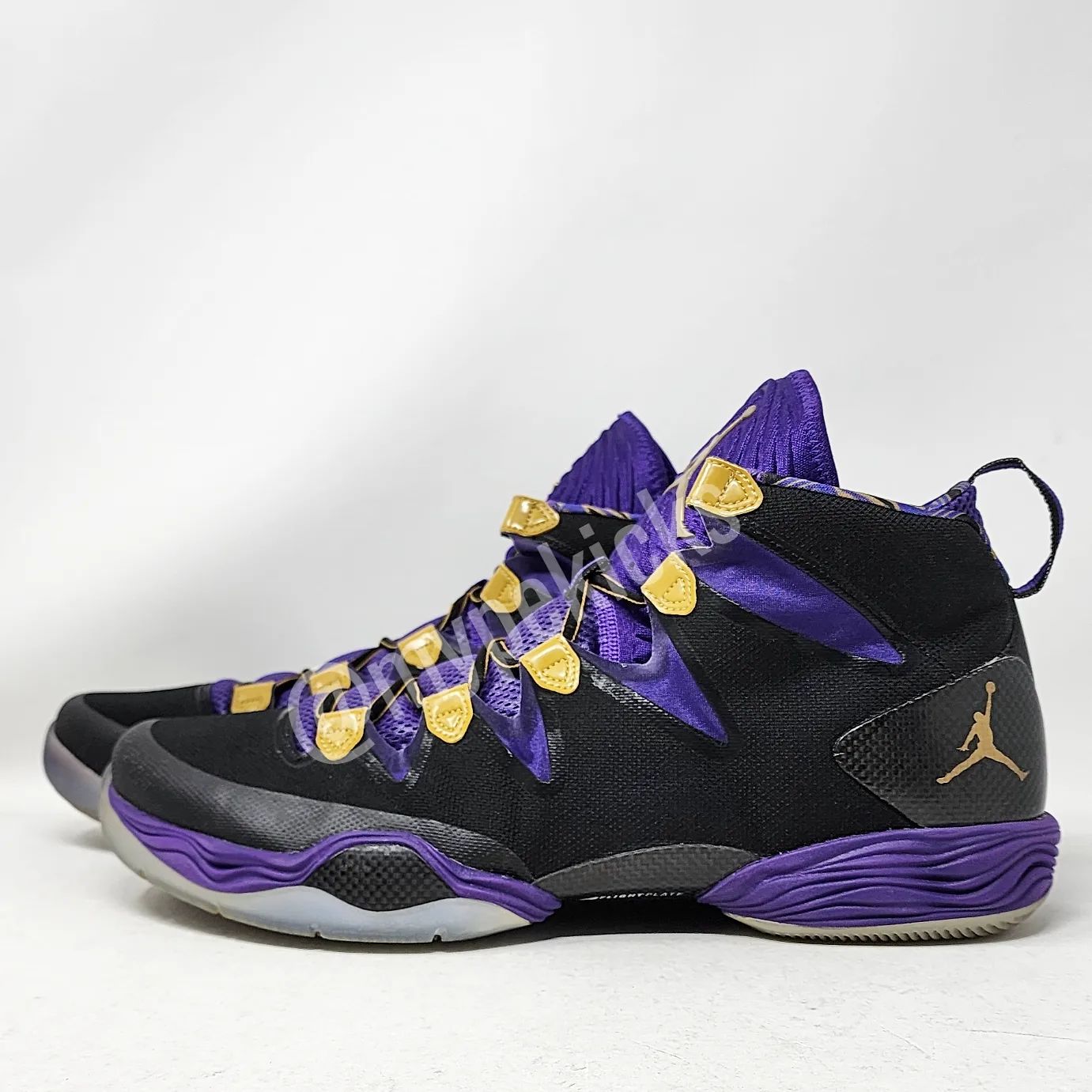 Air Jordan 28 SE - Ray Allen Miami Heat PE