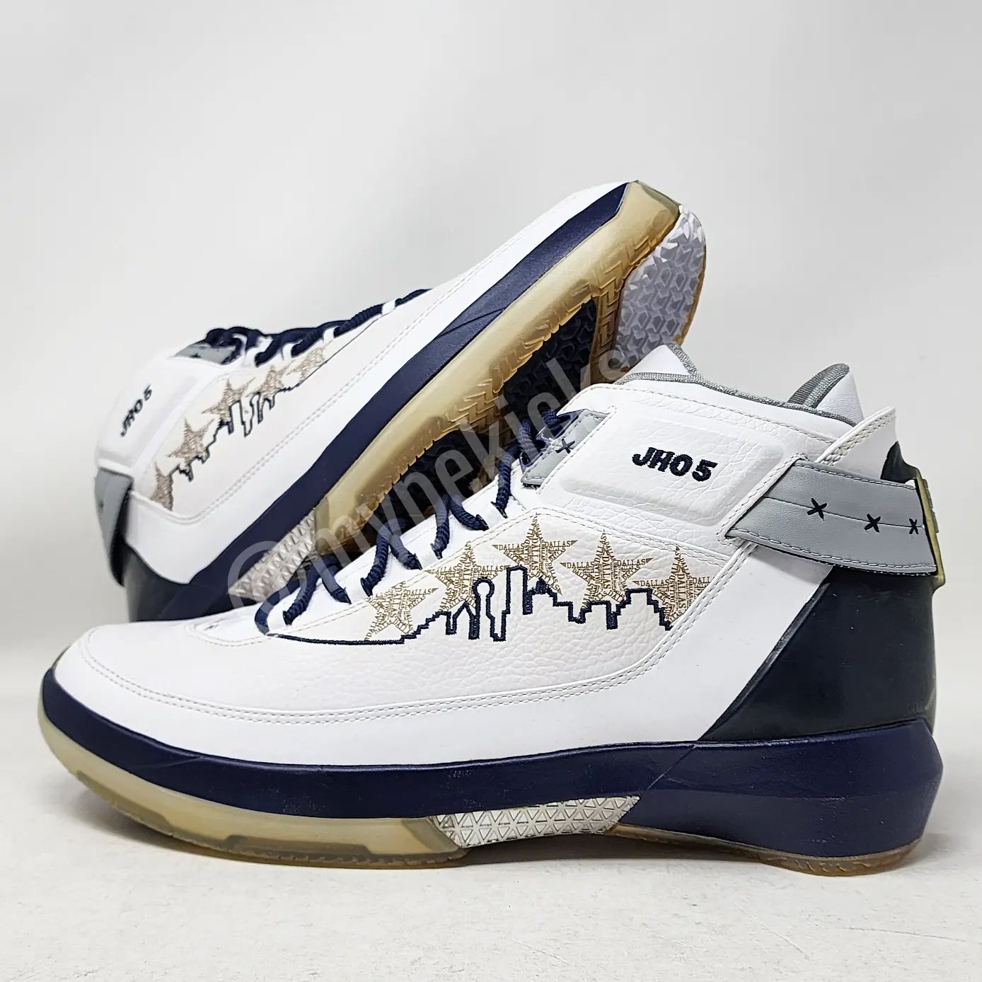 Air Jordan 22 - Josh Howard Mavericks PE