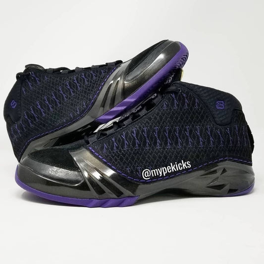 Air Jordan 23 - Kevin Martin Sacramento Kings PE