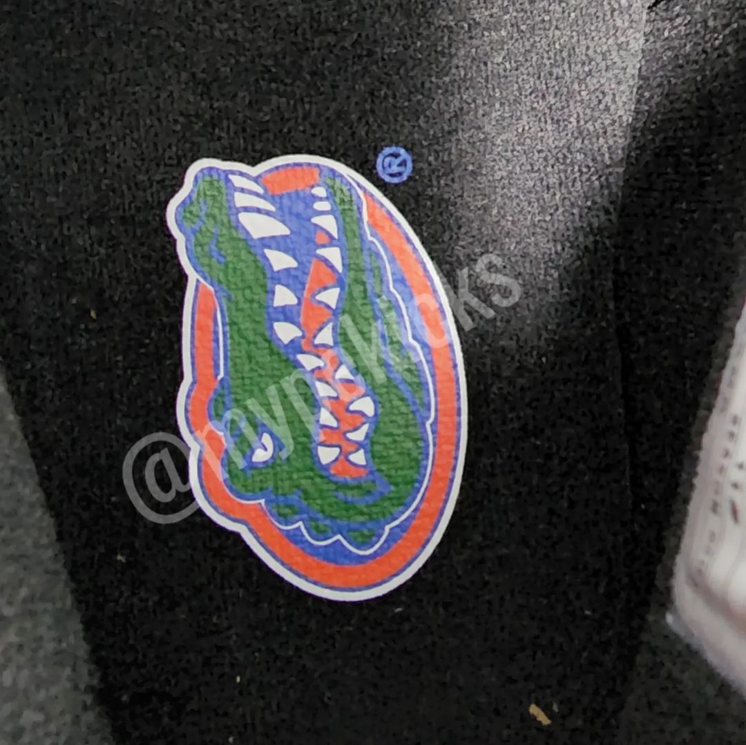 Air Jordan 09 Retro Boots - Florida Gators PE
