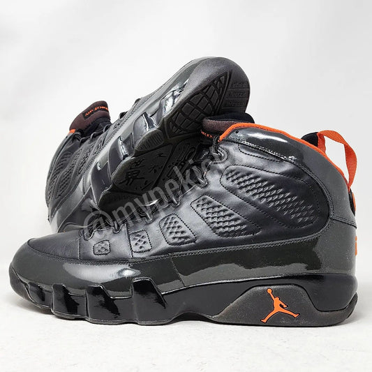 Air Jordan 09 Retro - Darius Miles Cleveland Cavaliers PE