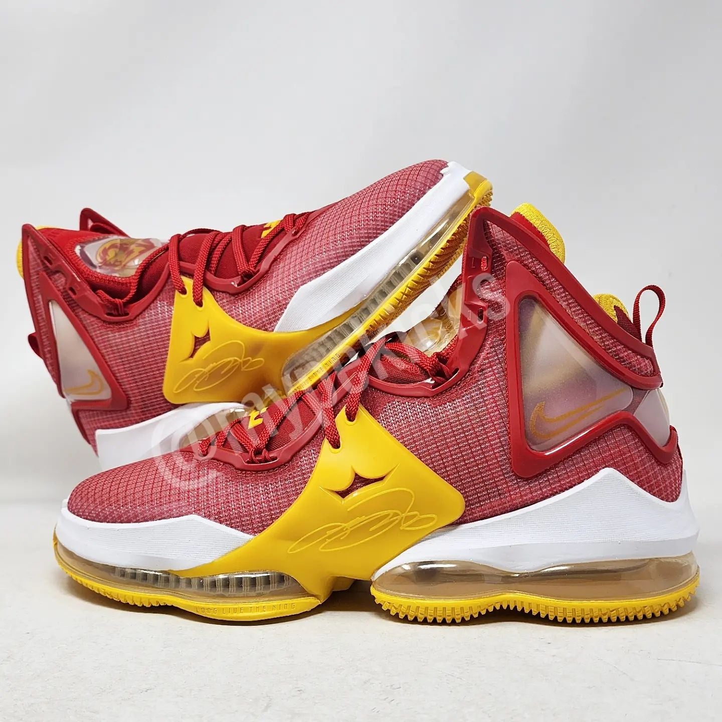 Nike LeBron 19 - Fairfax HS Lions PE