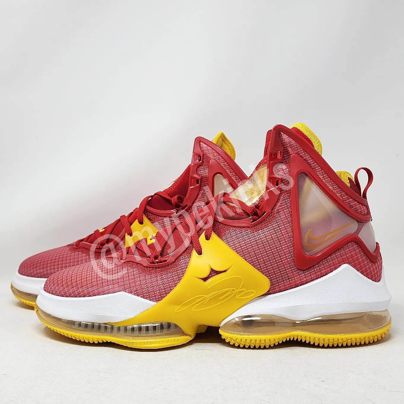 Nike LeBron 19 - Fairfax HS Lions PE