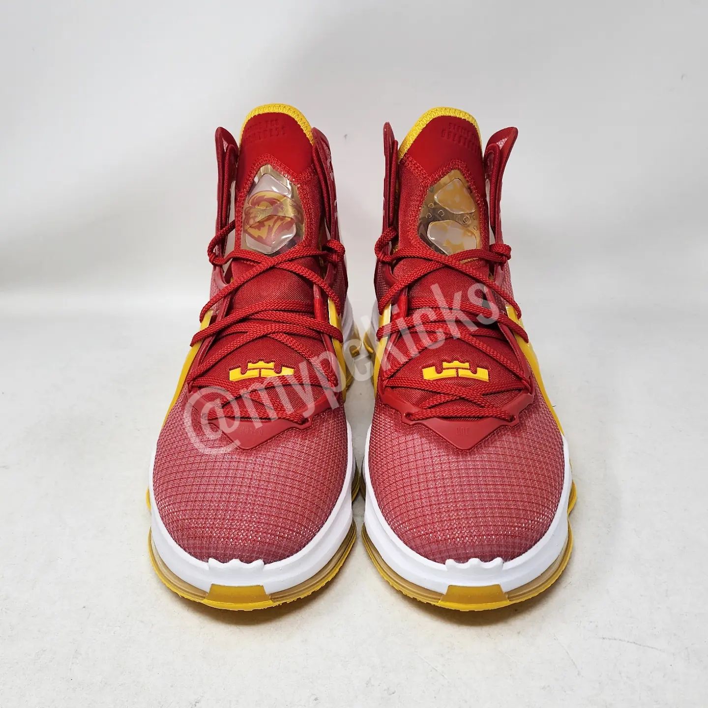 Nike LeBron 19 - Fairfax HS Lions PE