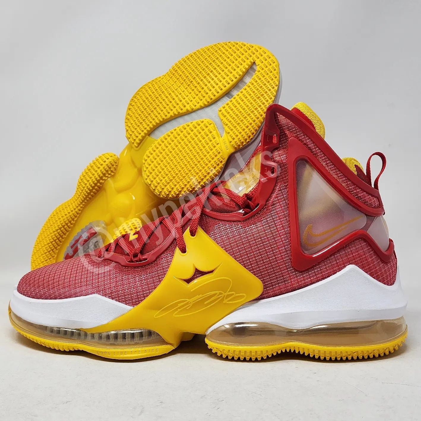 Nike LeBron 19 - Fairfax HS Lions PE