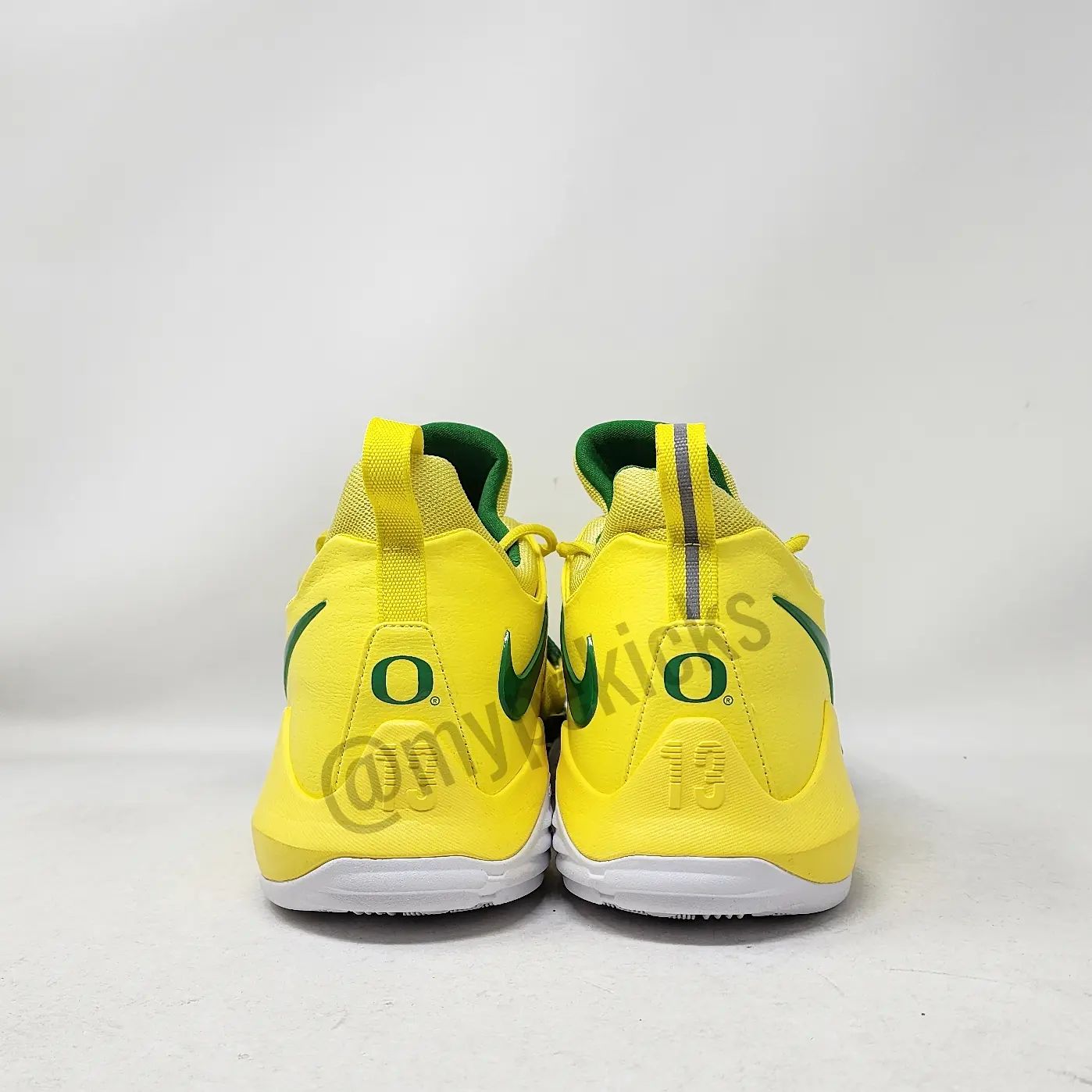 Nike PG 1 - Oregon Ducks PE