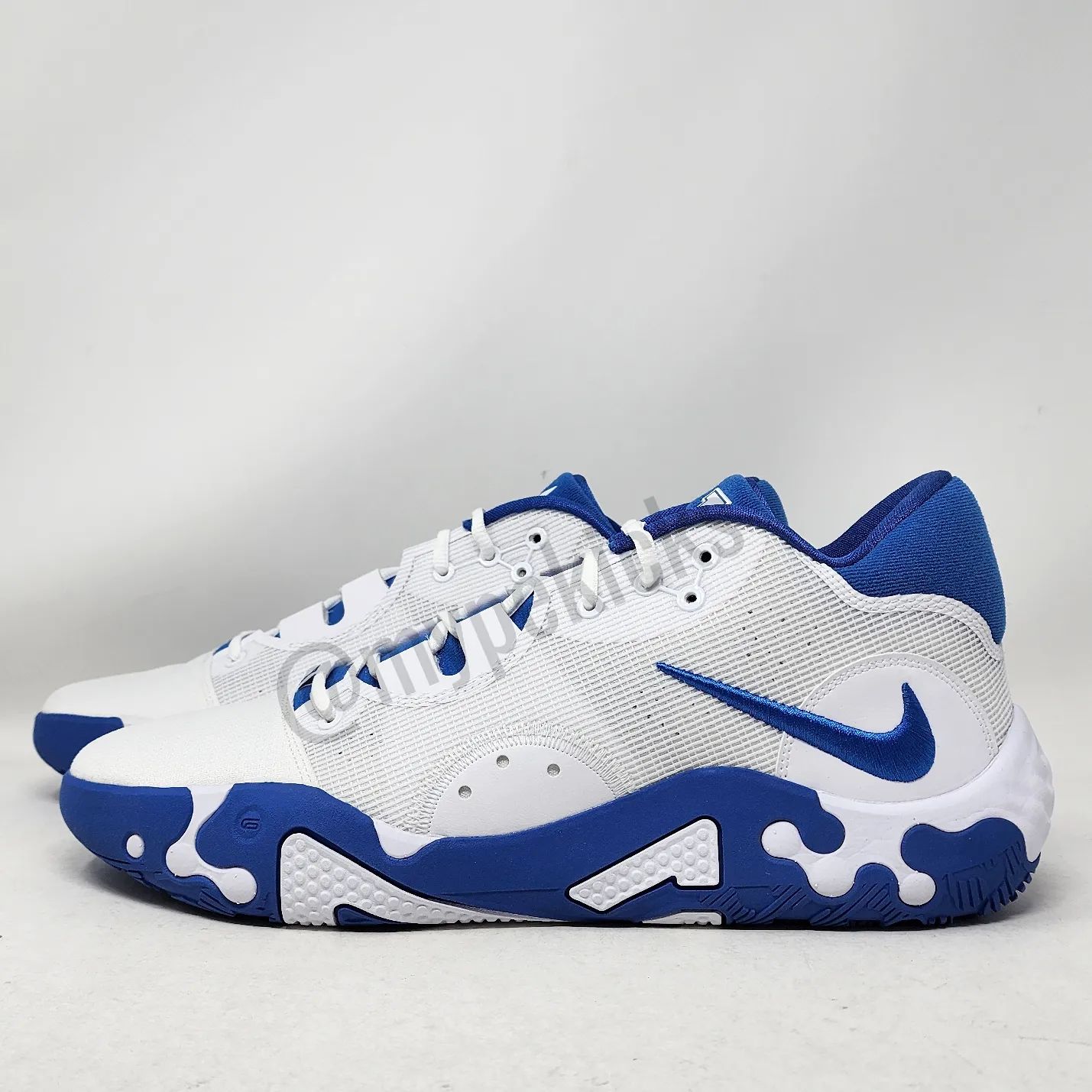 Nike PG 6 - Kentucky Wildcats PE