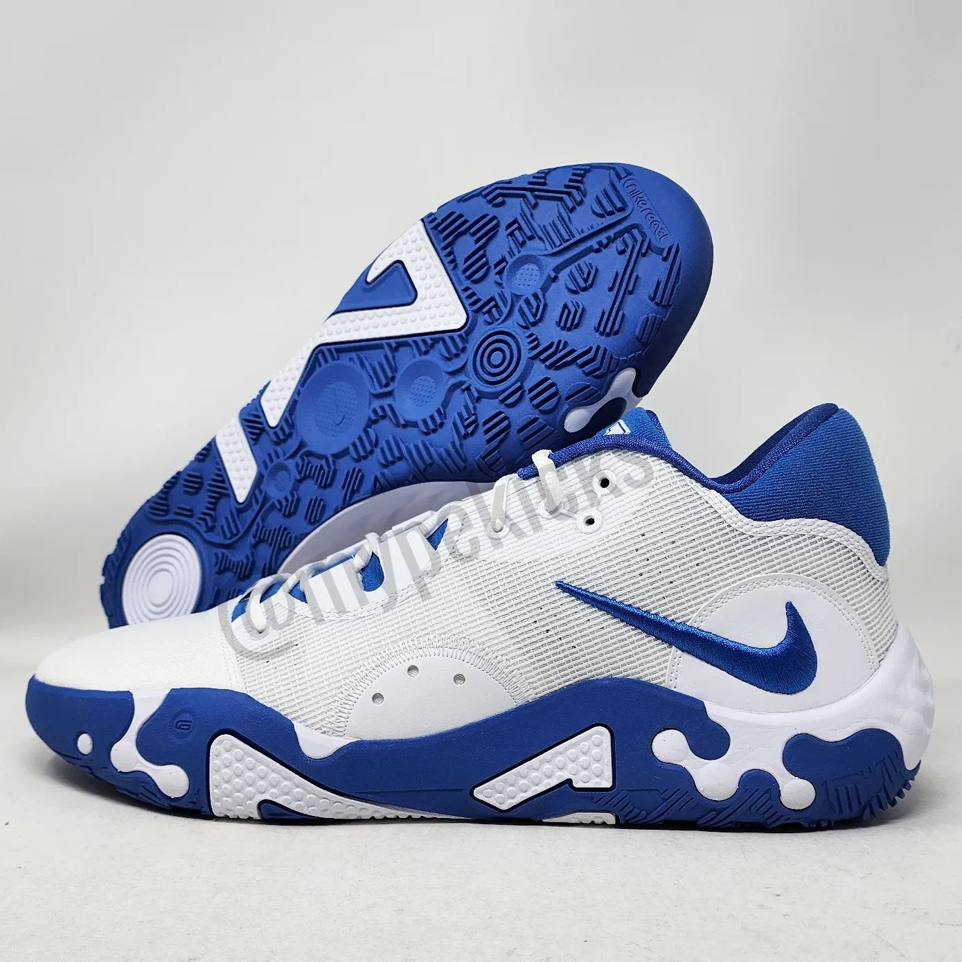 Nike PG 6 - Kentucky Wildcats PE