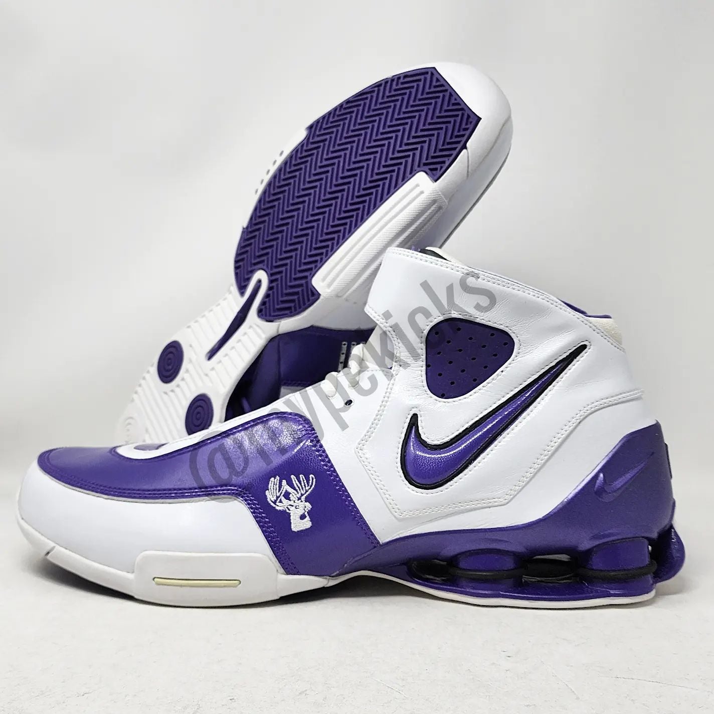 Nike Shox Elite TB - Brad Miller Sacramento Kings PE
