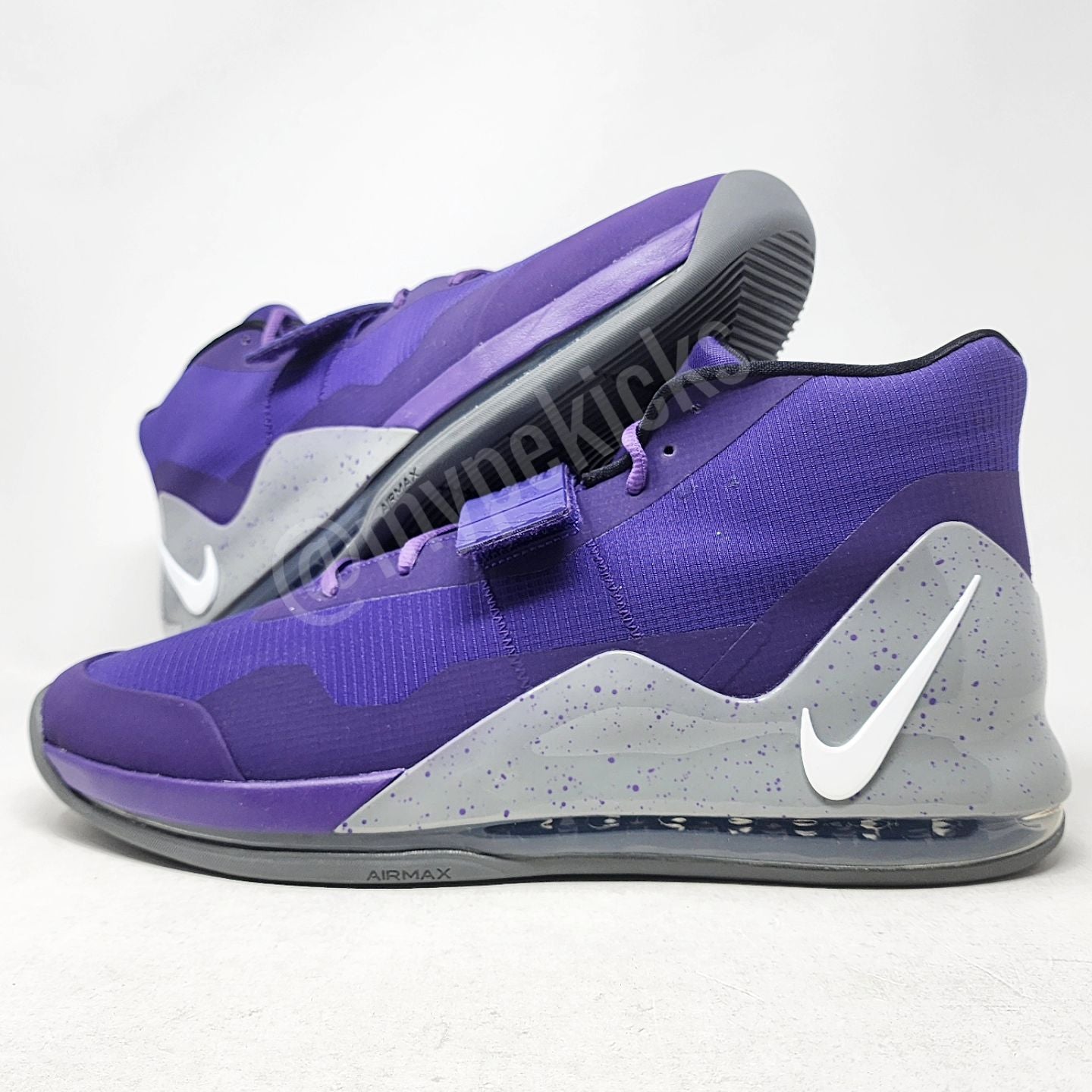 Nike Air Force Max - Zach Randolph Sacramento Kings PE