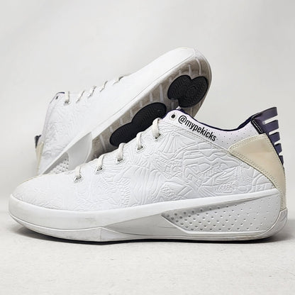 Air Jordan 20 3/4 Low - Mike Bibby Sacramento Kings PE