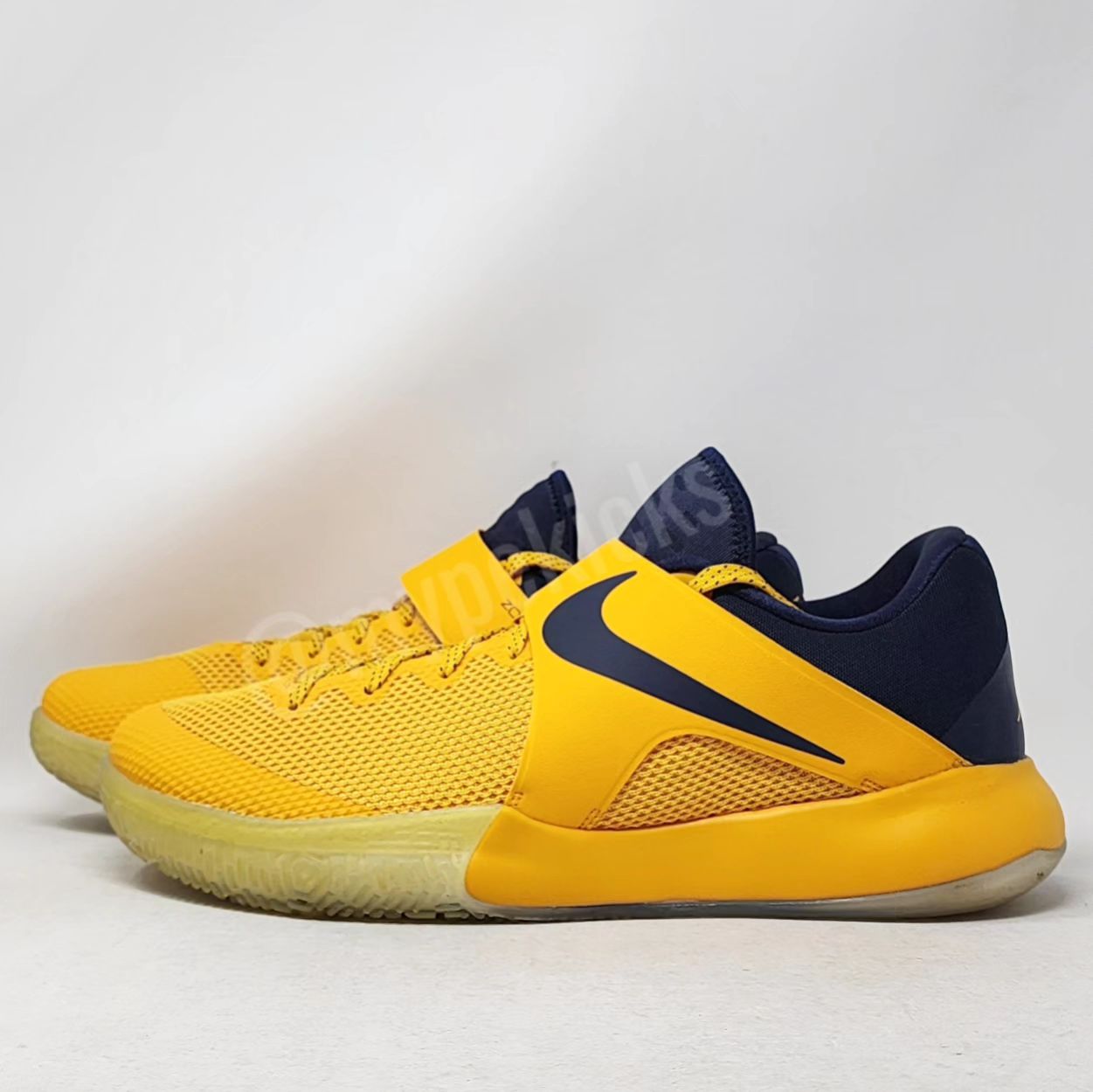 Nike Zoom Live - Aaron Brooks Indiana Pacers PE