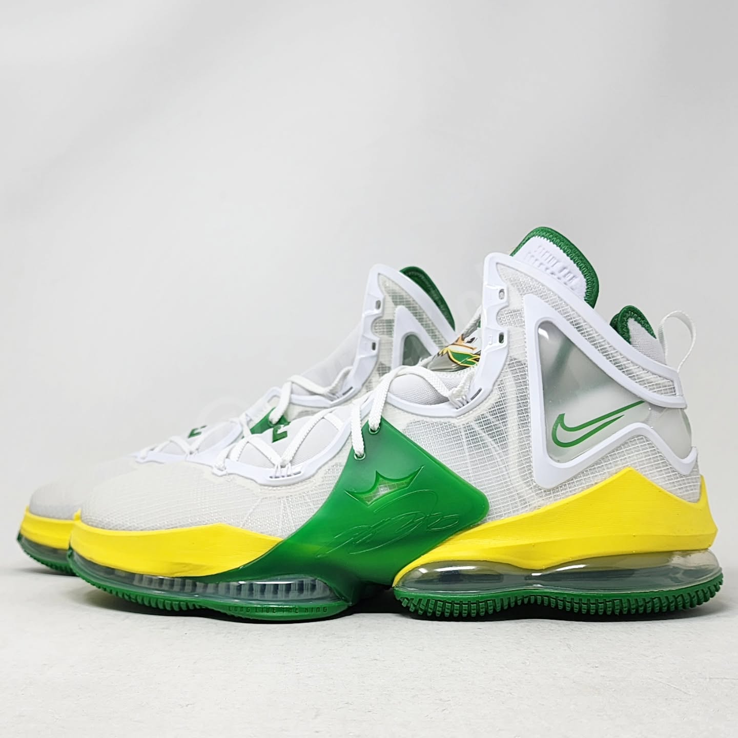 Nike LeBron 19 - Oregon Ducks PE