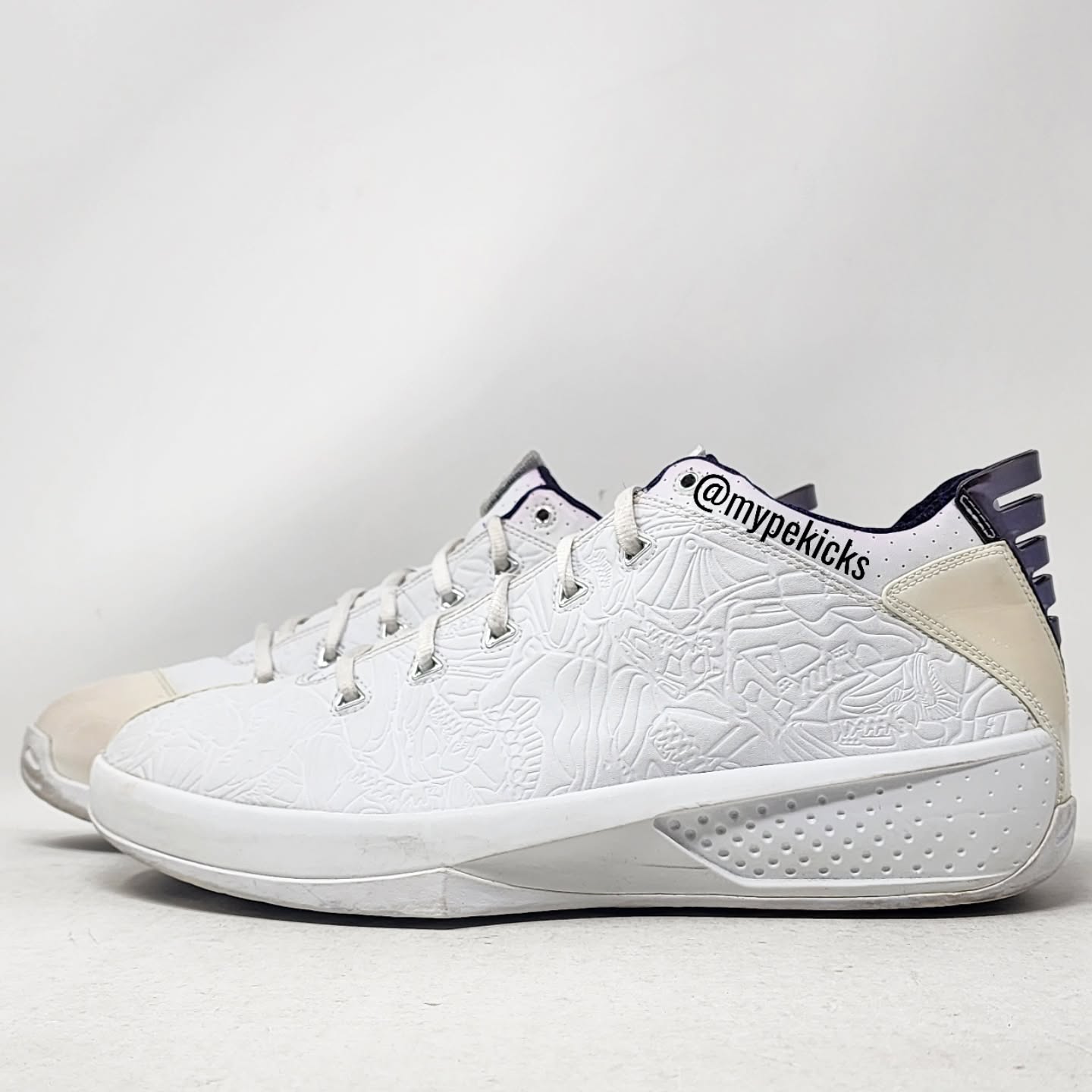 Air Jordan 20 3/4 Low - Mike Bibby Sacramento Kings PE