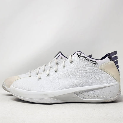 Air Jordan 20 3/4 Low - Mike Bibby Sacramento Kings PE
