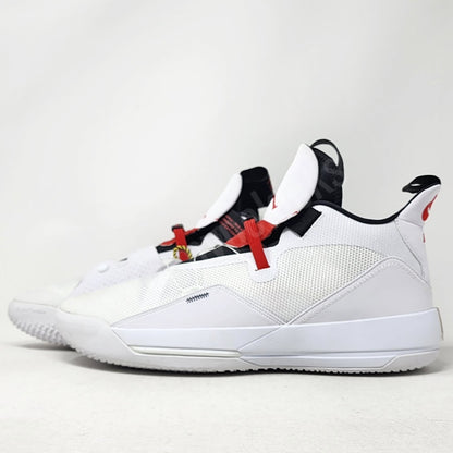 Air Jordan 33 - Greg Monroe Toronto Raptors PE