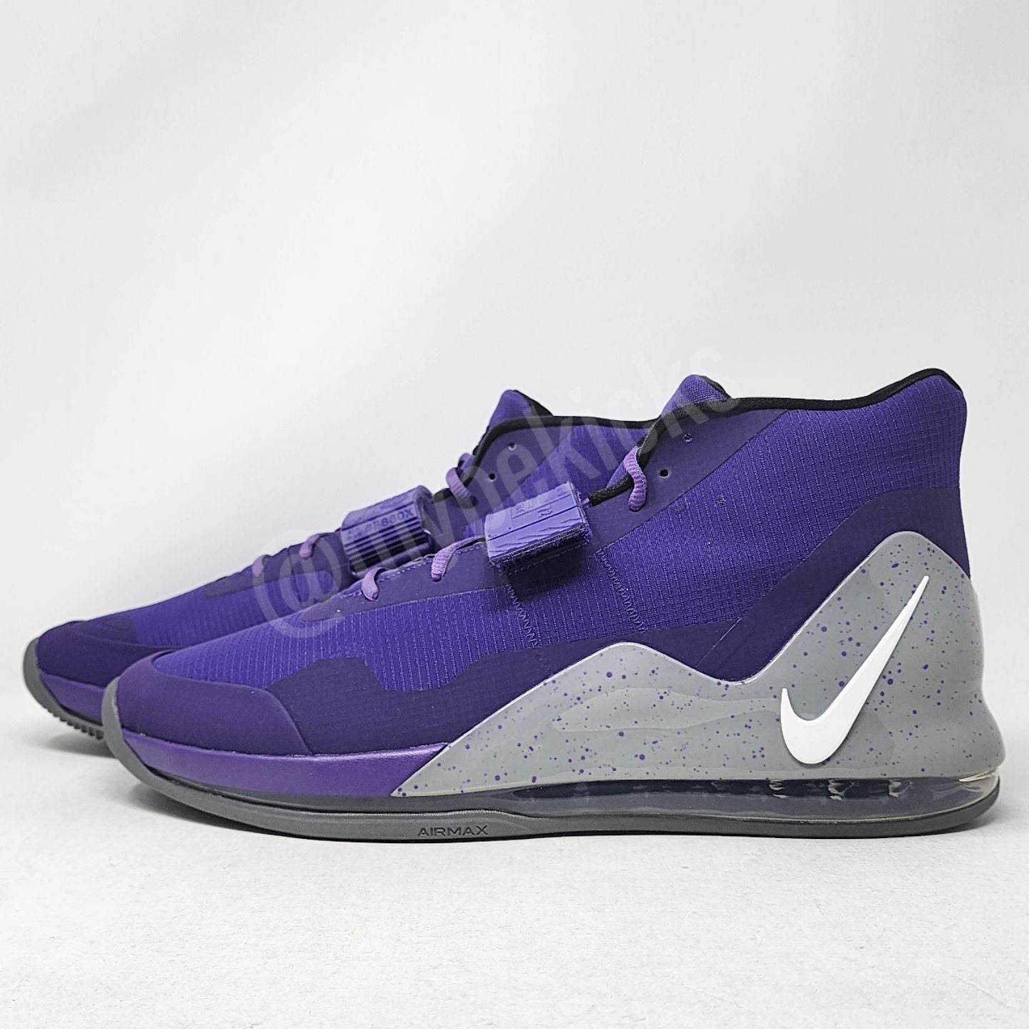 Nike Air Force Max - Zach Randolph Sacramento Kings PE