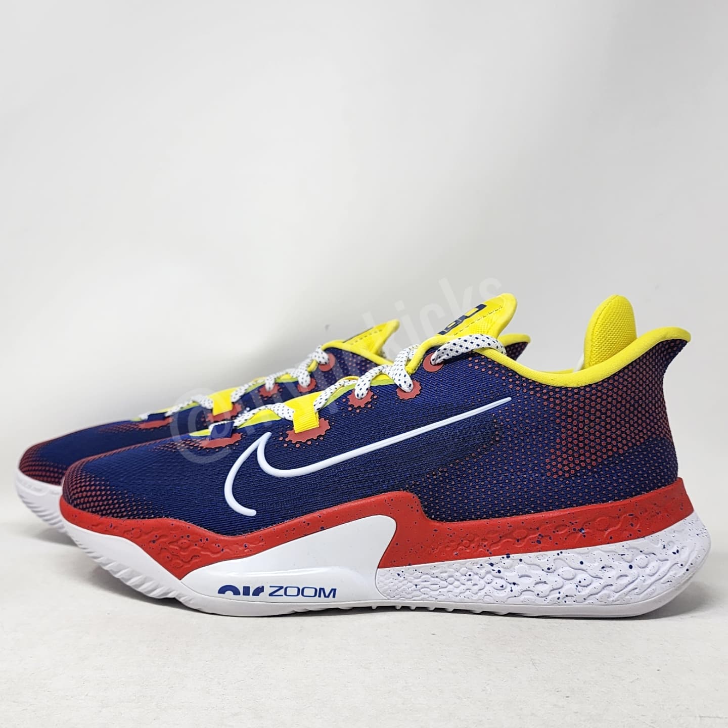 Nike Air Zoom BB NXT - Bradley Beal Washington Wizards PE